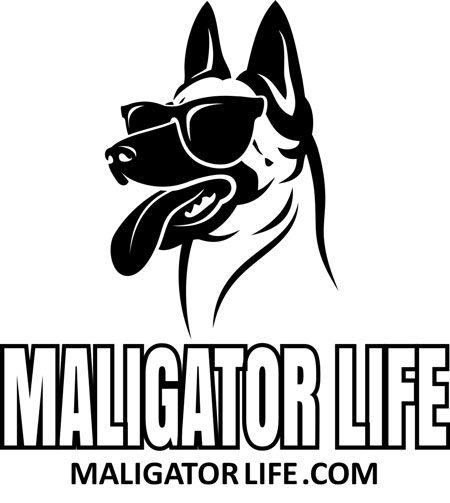 Maligator Life | Belgian Malinois